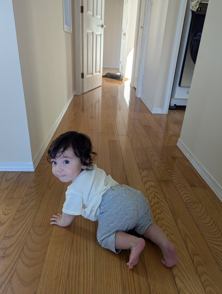 j181730's tweet photo. 2025.7
髪の毛が伸びて女の子みたいに髪を留めてる孫と、最近老化を感じるベリー🐶 https://t.co/tkVpKYVf7h
