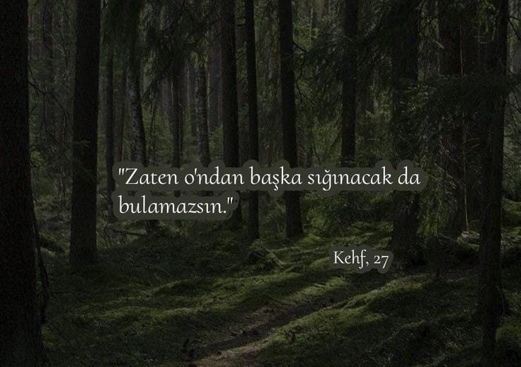 " Zaten O'ndan başka sığınacak da bulamazsın."