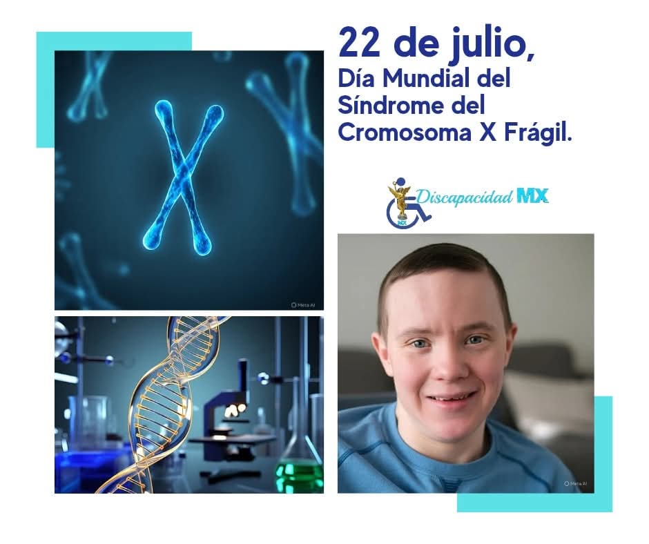 22 de julio,
Día Mundial del Síndrome del Cromosoma X Frágil.
facebook.com/share/p/1EHdnq…

#DiscapacidadMx #efemerides #DíaMundialdelSíndromeXFrágil