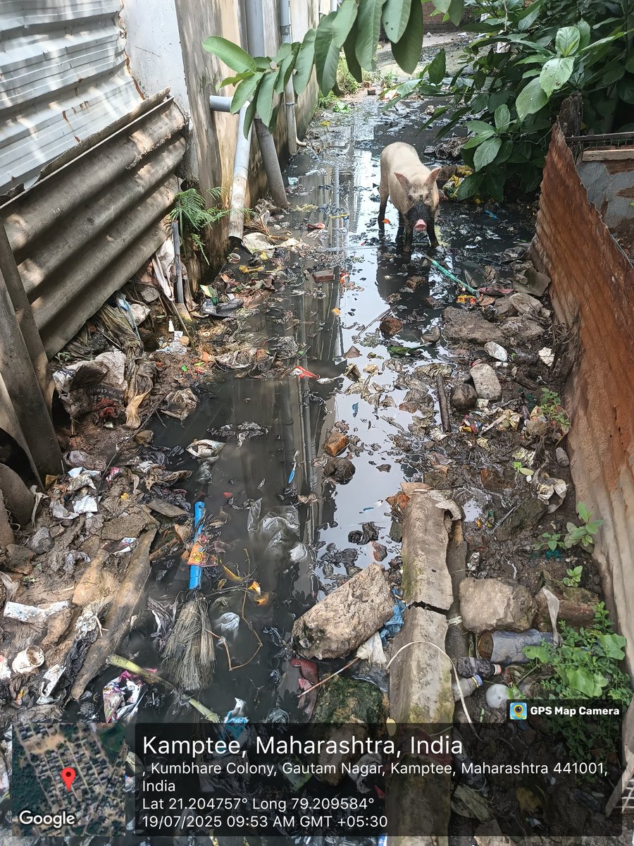 Musabhai84's tweet image. हमारे मोहल्ले मे #SwachhBharatMissionUrban के अंतर्गत @NKamptee द्वारा इतनी अच्छी नाली बनाई गई कि जैसे पहले पानी जमा था वैसे ही अभी है उस ठेकेदार को शत शत नमन जिसने ये नाली बनाई और उस इंजीनियर को भी जिसने चेक किया और ठेकेदार को भुगतान किया गया 
#MyCityMyPride #GarbageFree