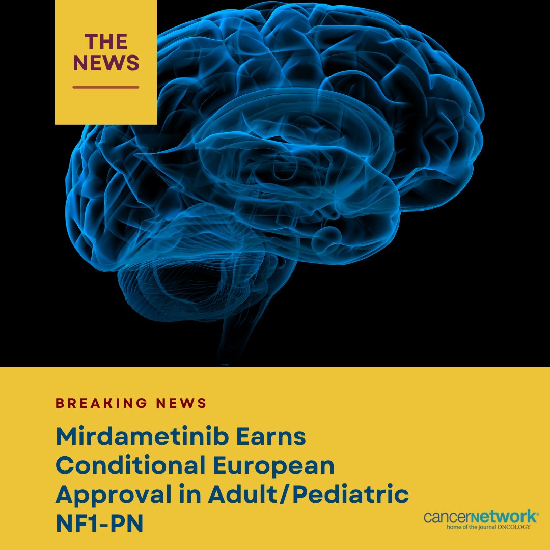 CancerNetwrk's tweet image. The confirmed ORR with mirdametinib was 41%, significantly higher than the predefined minimum clinically relevant response rate of 23% (P &lt; .001). #oncology #pedcsm
hubs.li/Q03y7tXm0