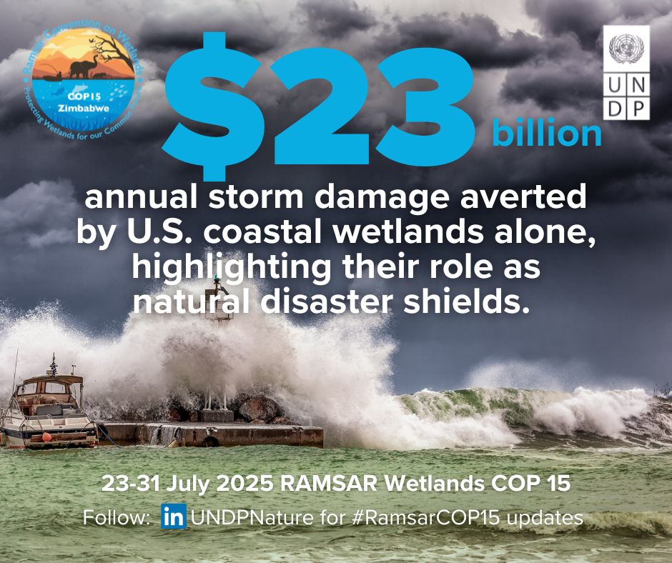 UNDPClimate's tweet image. 🌪️ $23B in storm damage is averted every year thanks to U.S. coastal wetlands.
Wetlands = climate defense.
Follow @UNDP and @UNDPZimbabwe at #RamsarCOP15, this week 23-31 July
#WetlandsMatter #ForPeopleForPlanet