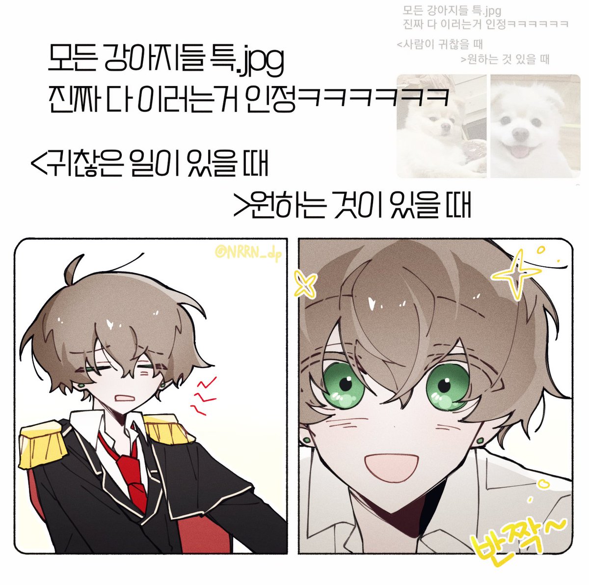 NRRN_dp's tweet image. #마차살
울리케