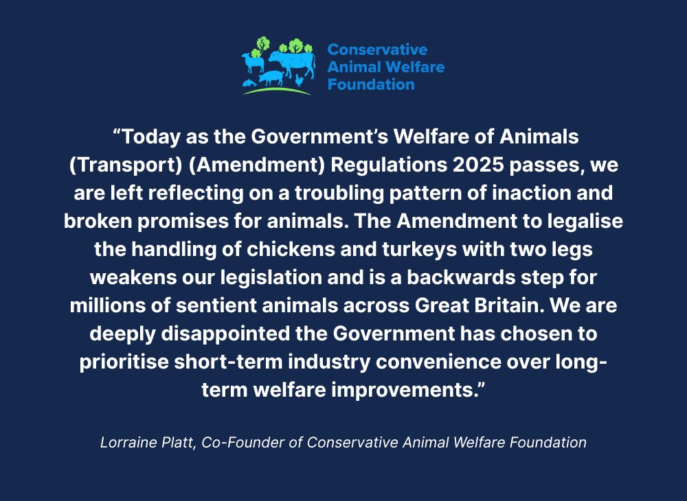 ConservativeAWF's tweet image. Conservative Animal Welfare Foundation is deeply disappointed by the passing of the Welfare of Animals (Transport) (Amendment) Regulations 2025, a new Government Amendment which will allow chickens and turkeys weighing less than 5kg to be routinely caught and handled by their…