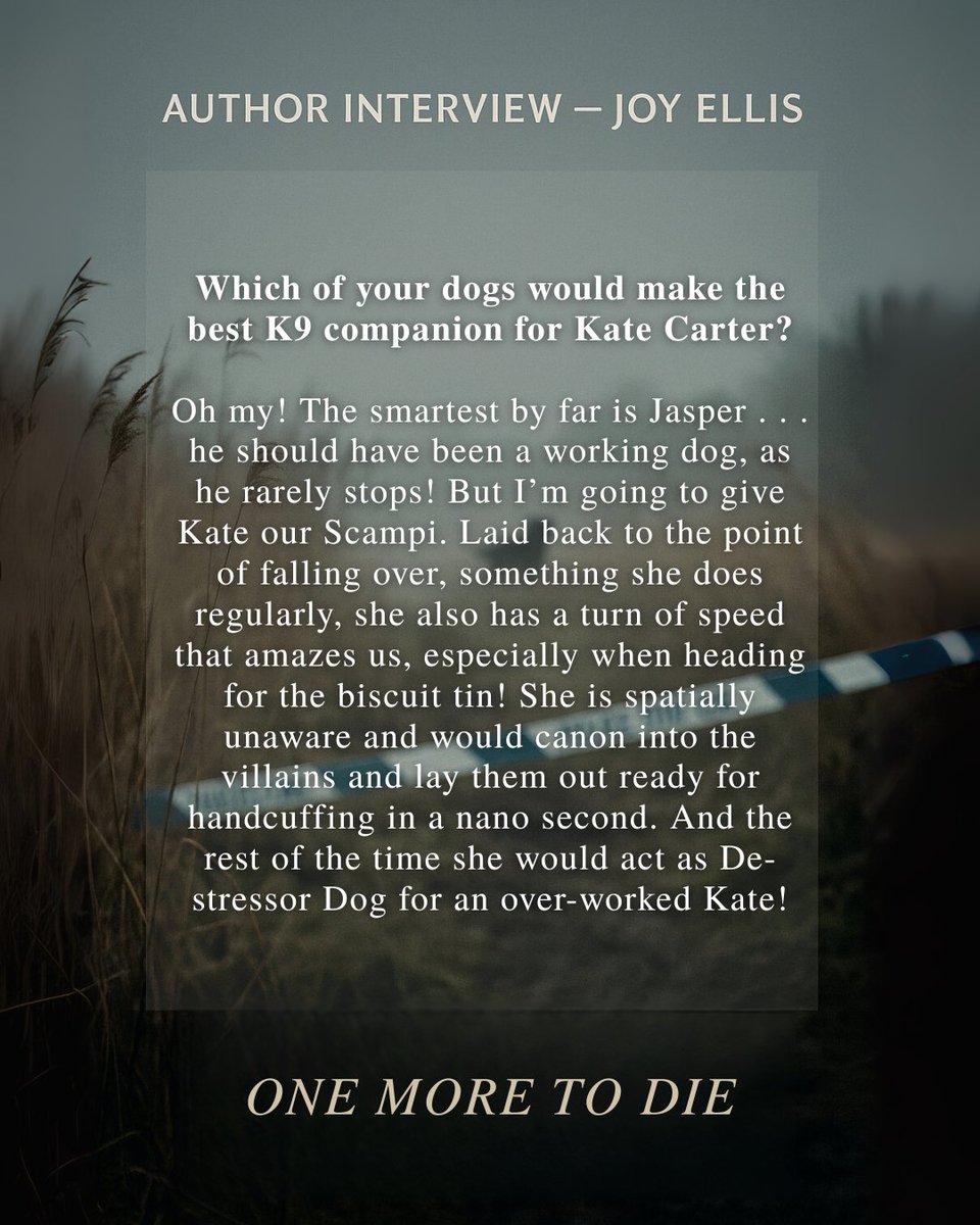 JoffeBooks's tweet image. We sat down with the brilliant mind behind One More to Die, Joy Ellis!
Take a peek behind the scenes of Joy’s latest crime thriller. You’ll love it. Out this thursday!
Pre-Order now: geni.us/one-more-to-die