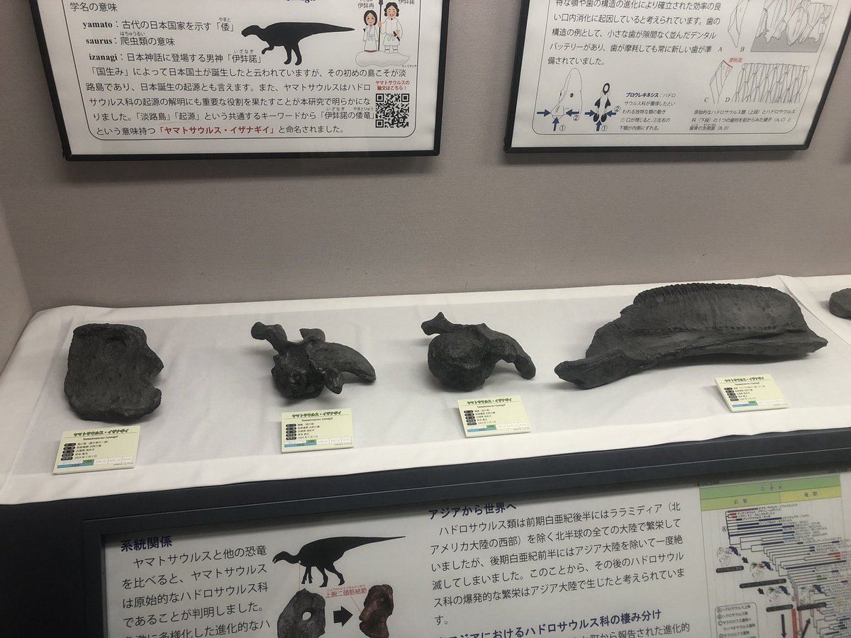 Had a wonderful trip to the Museum of Nature and Human Activities in Sanda City, for the observation of Yamatosaurus material. The best thing is meeting a good friend Dr. Tomonori Tanaka, who met me ten years ago.