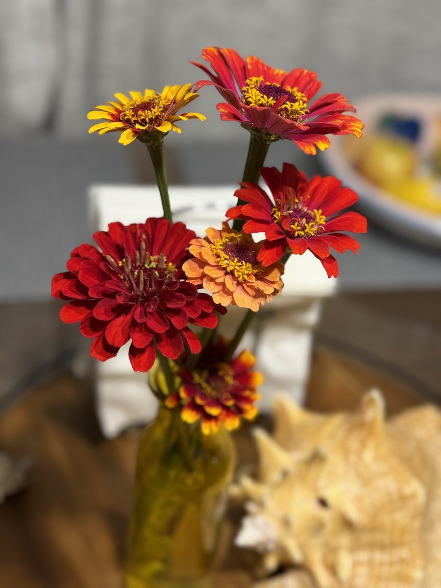 MadHatter_LJ's tweet image. Look at the pretty Commanders flowers I grew - while we wait for the Terry McLaurin extension …