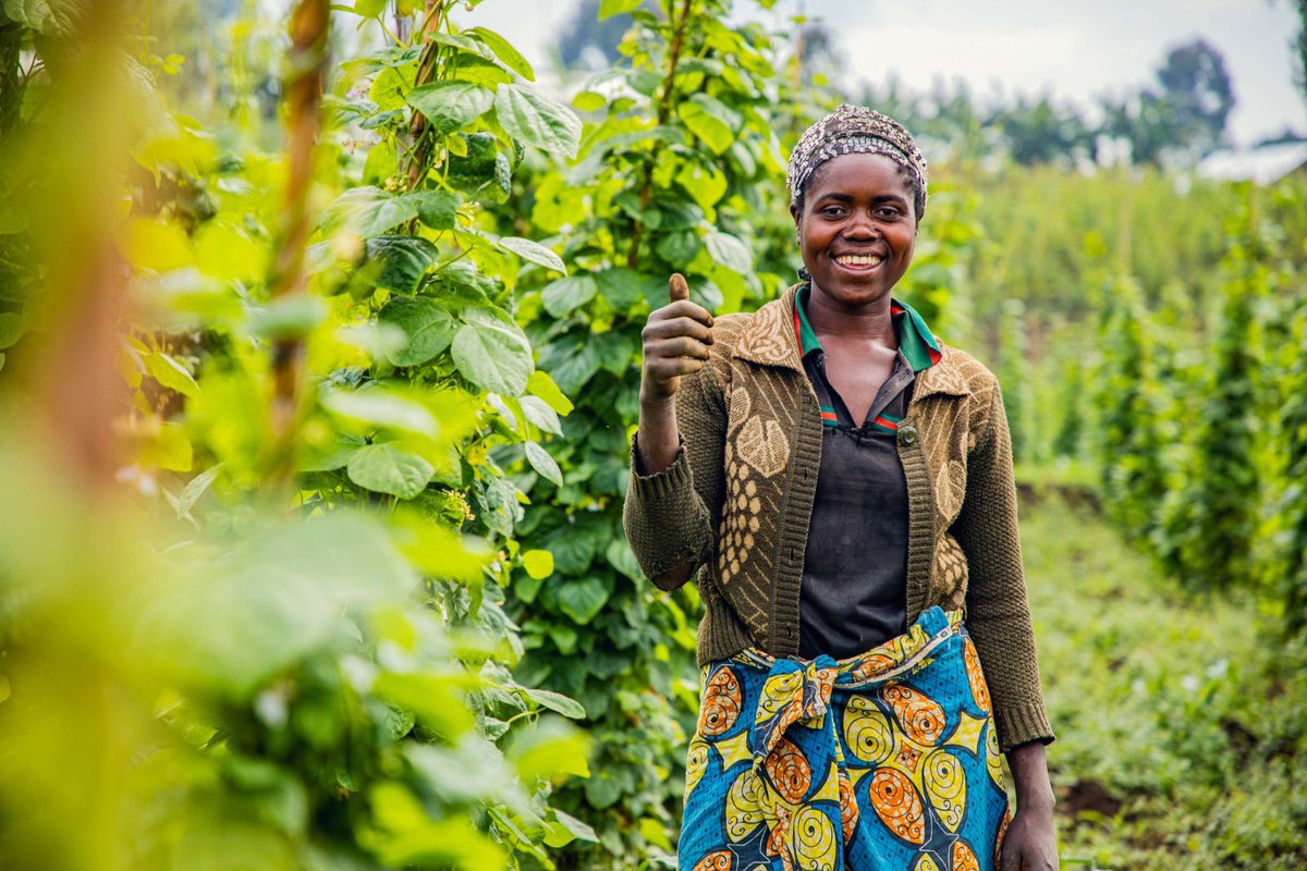marcosathias's tweet image. 🔷$40M
🔷3 countries
🔷800,00 people to benefit
The Least Developed Countries Fund is delivering where it counts!
W @UNDP's support, @theGEF fund will help Liberia, Malawi& Rwanda scale nature-based solutions to strengthen climate resilience& ecosystems
go.undp.org/wJ3