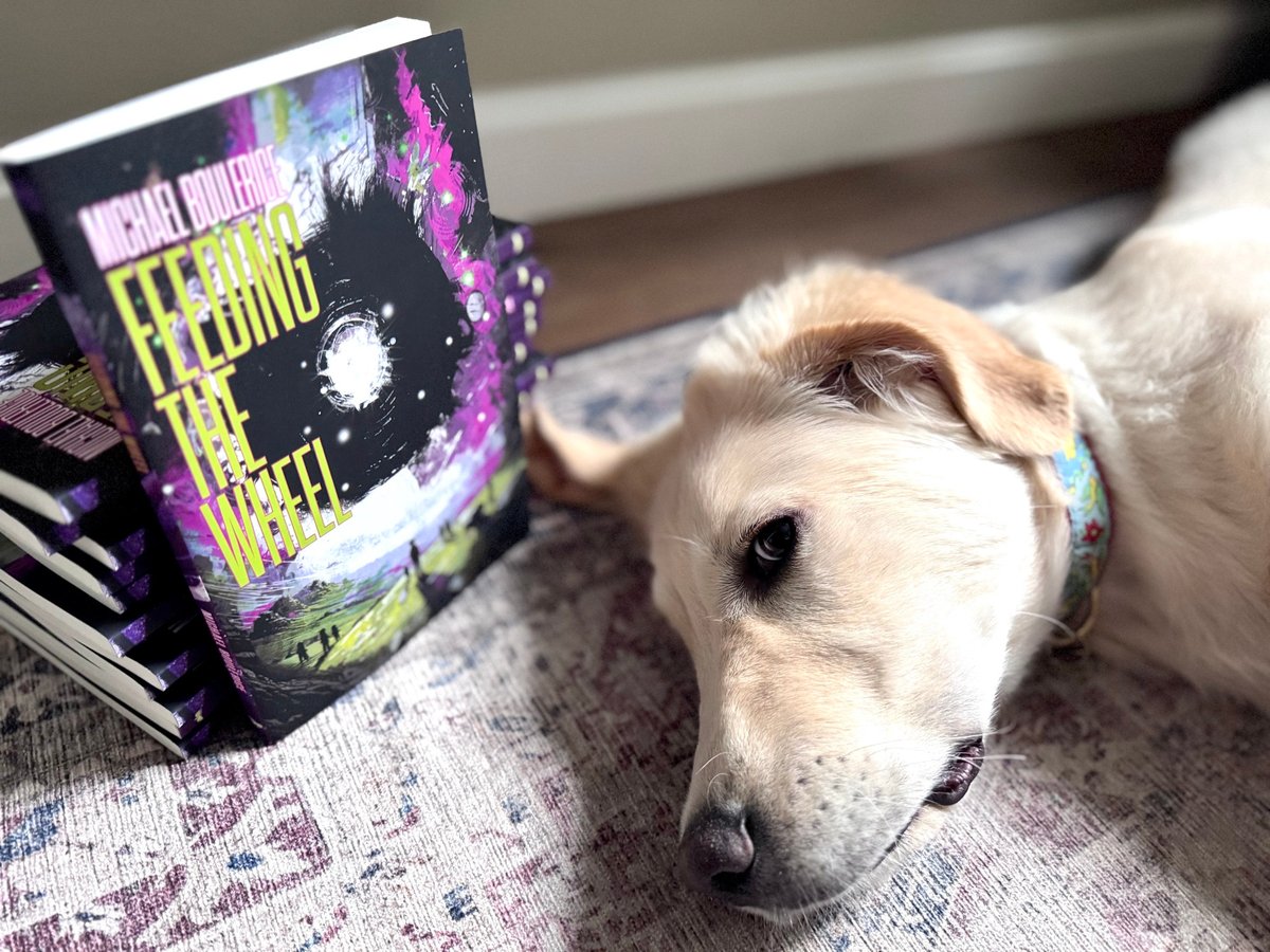 Michael Boulerice 🏂 tweet media