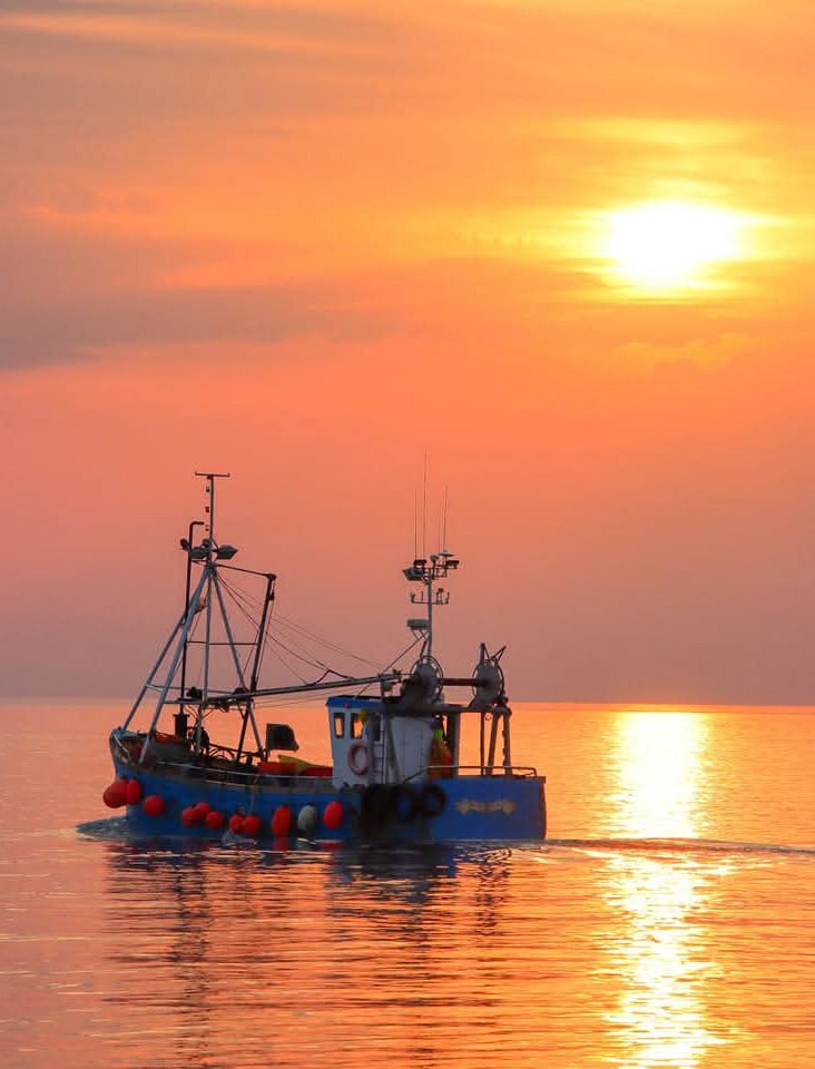 sscanlon07's tweet image. Early morning commuters #sunrise #sea #boats #wicklow #Ireland