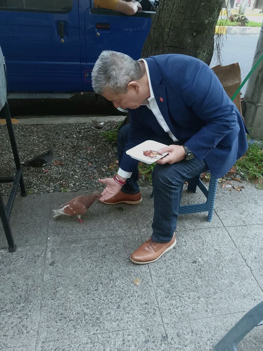 Solo basta con tratarlos con ternura, el maltrato no es opción.

Las aves, con su capacidad de volar, a menudo simbolizan la libertad y la tranquilidad, contrastando con las preocupaciones y ansiedad de la vida humana.