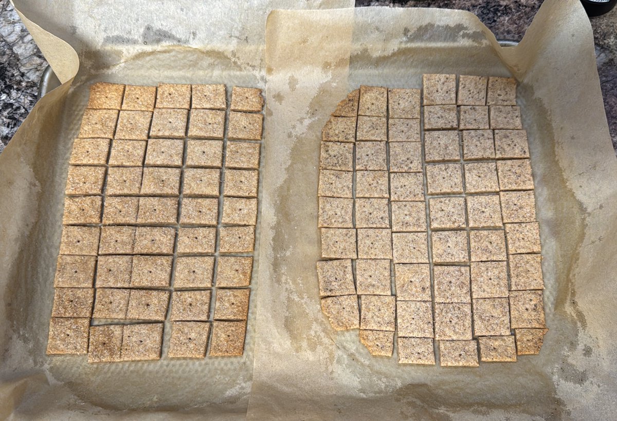 _donutninja's tweet image. Sourdough wheat thins. Left is chili pepper sea salt and right is tomato basil sea salt.