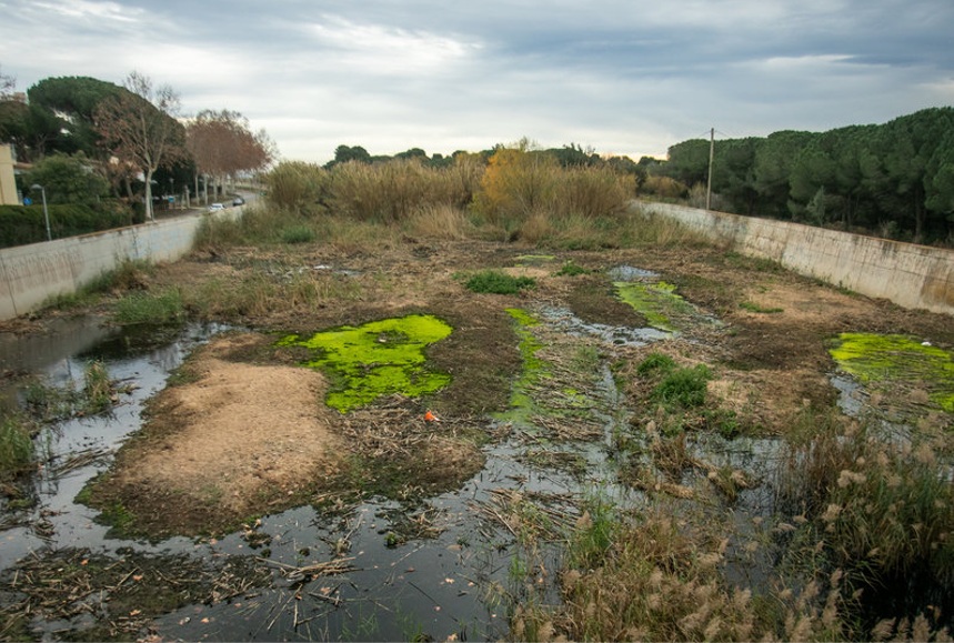 DiputacioGirona's tweet image. 🟢Redactarem plans estratègics d'infraestructura #verda en els quatre municipis de la conca del #Ridaura‼️
🌱Els documents han de permetre millorar la gestió i la conversació del riu i el seu #patrimoninatural.
⏳El procés durarà 1⃣8⃣ mesos, fins a finals del 2026…