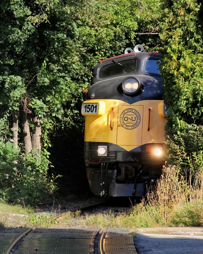 shrampmannne's tweet image. trains when they see high functioning autistic guys with lots of free time