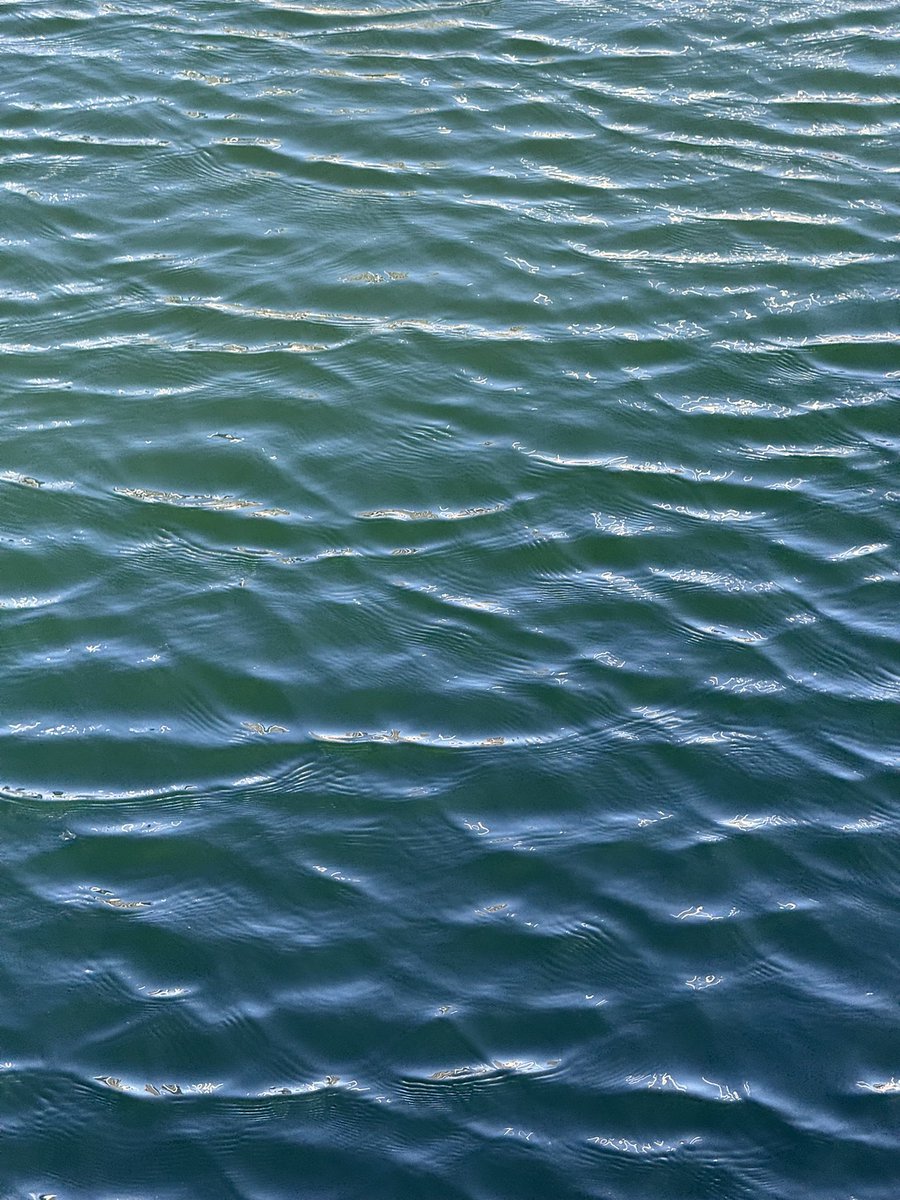blerghhh's tweet image. Sailboat fuel spill!
