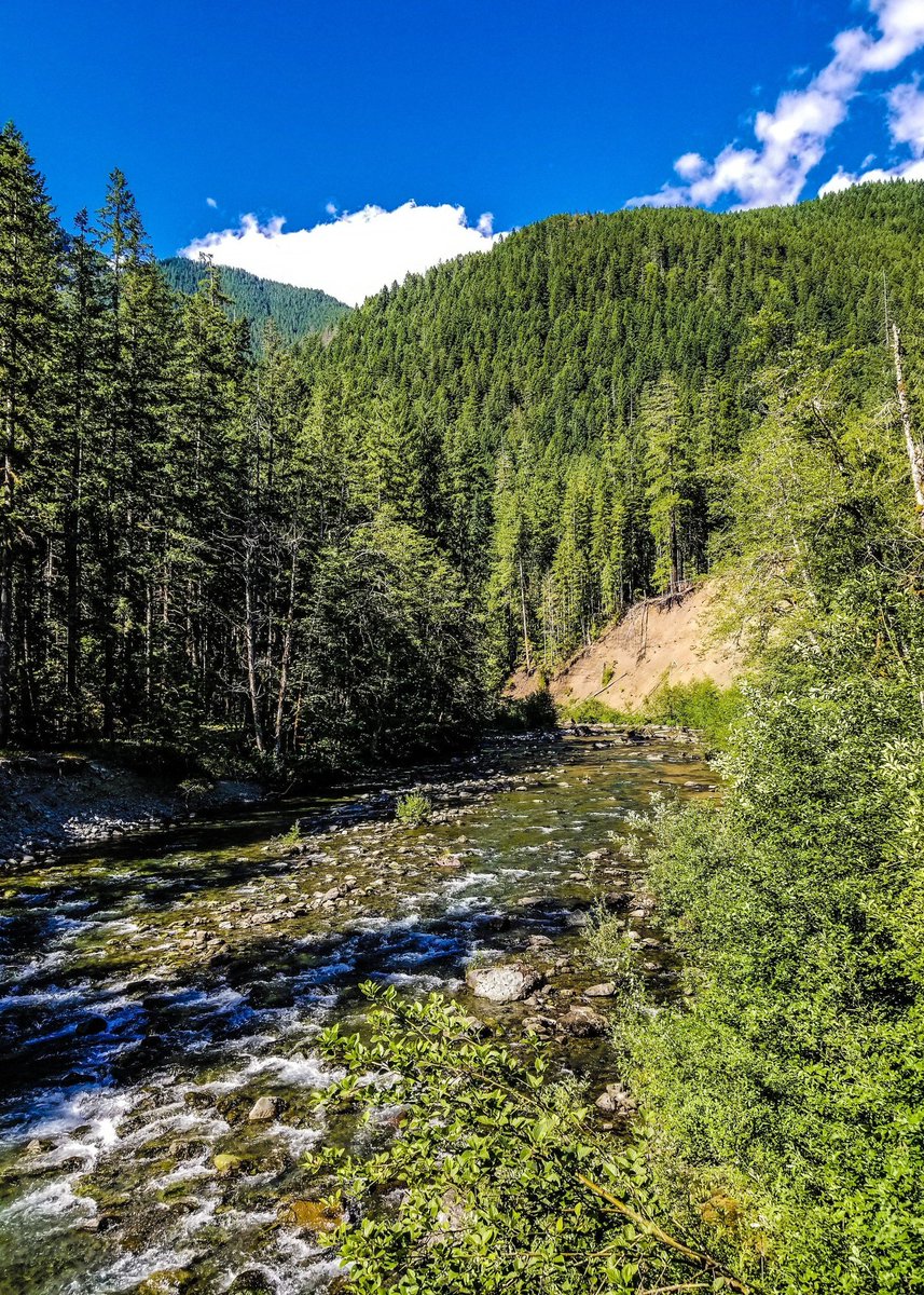 Skokomish River,Washington-USA.