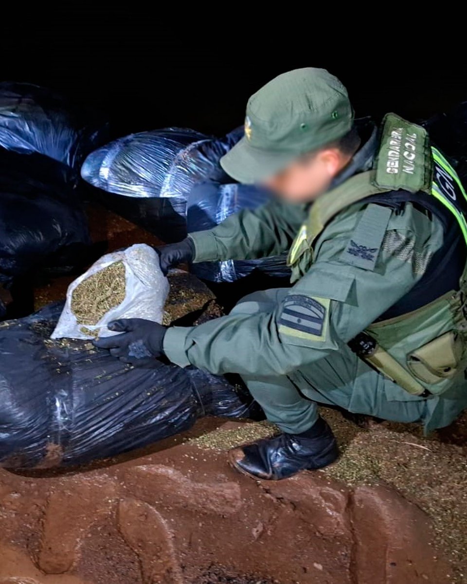 MinSeguridad_Ar's tweet image. TODO PELOTA: INCAUTAMOS MEDIA TONELADA DE DROGA
Secuestramos más de 503 kilos de droga en Misiones.
A través de la GNA, detectamos una lancha que había cruzado el Río Paraná y descargaba bultos en la orilla argentina. Al llegar al lugar, descubrimos los 38 bultos de la droga…