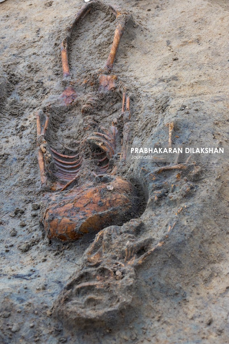 Prabhakaranlk's tweet image. யாழ்ப்பாணம் - செம்மணி மனிதப் புதைகுழியின் இன்றைய அகழ்வின் போது சிசுக்களின் என்புத் தொகுதி மற்றும் சிறுவர்களின் என்புத் தொகுதிகள் என சந்தேகிக்கப்படும் என்புத்தொகுதிகள் உட்பட எட்டு என்புத் தொகுதிகள் புதிதாக அடையாளம் காணப்பட்டன.
#chemmani #chemmanimassgrave #Jaffna