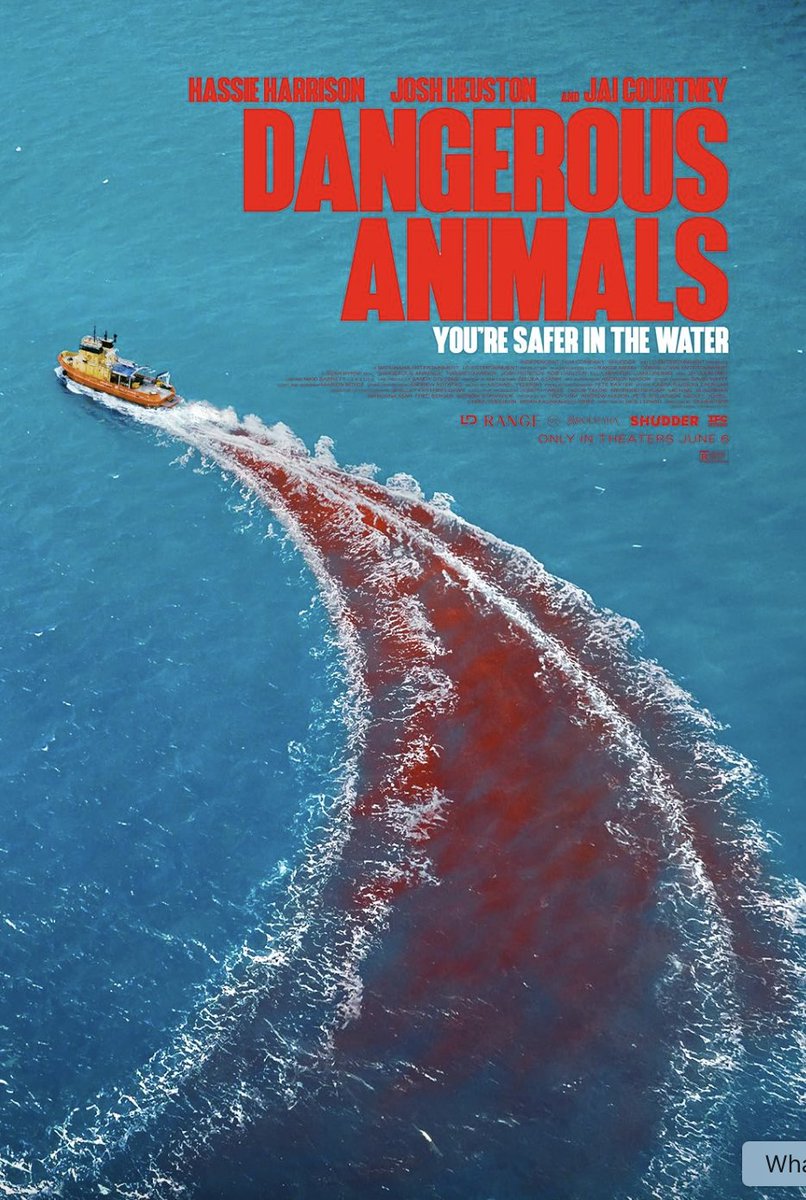 #DangerousAnimals İki sevdiğim korku türünü güzel harmanlıyor. Çok ufak mantık hatalarına rağmen keyifle izledim. Özellikle son 20 dakika sağlam geriyor. Hassie Harrison; tutuldum sana! Seni daha fazla izlemeliyim.

Belki de bazen köpek balıkları insanlardan daha az hayvandır.🦈