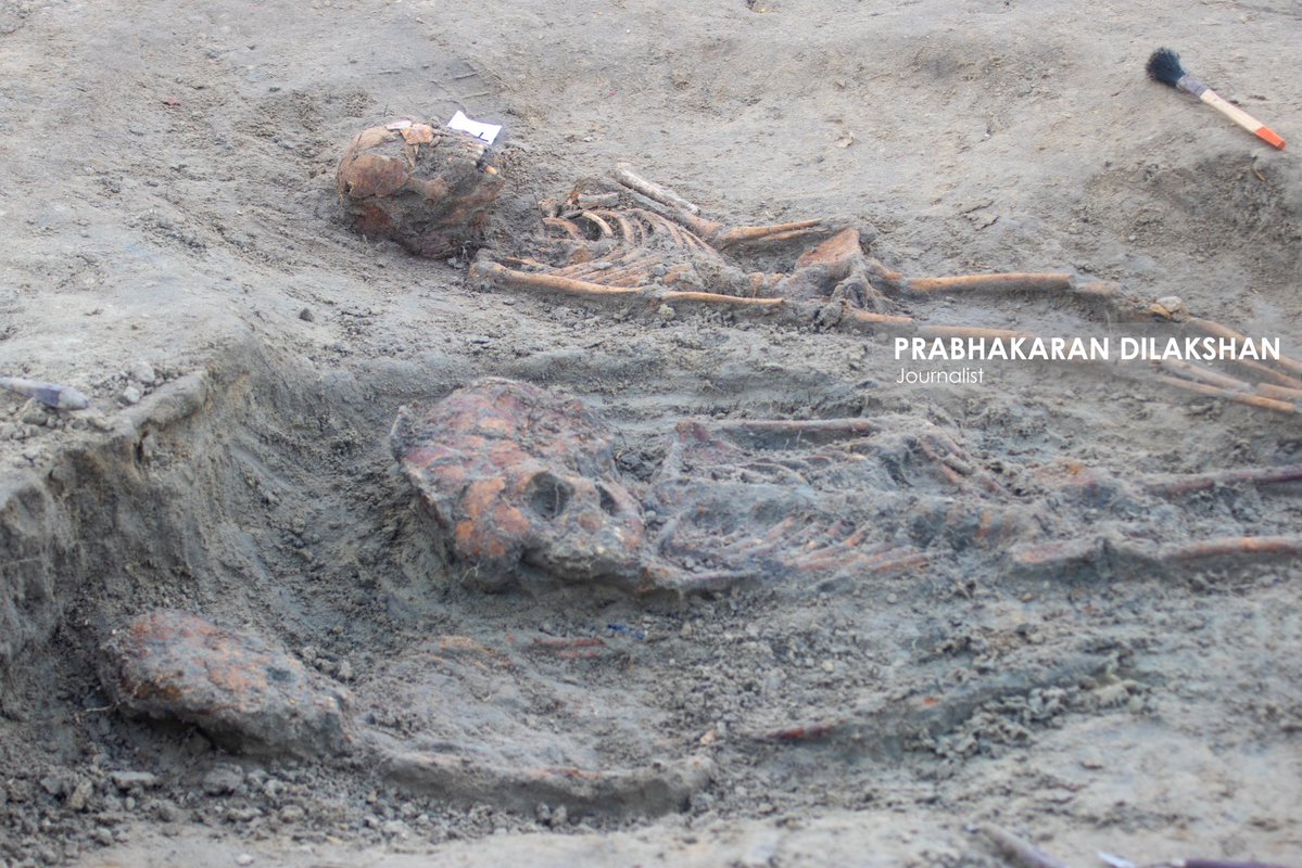 Prabhakaranlk's tweet image. During today’s excavation of the Chemmani mass grave in Jaffna, eight new skeletal remains were identified, including remains suspected to belong to infants and children.
With this, the total number of skeletal remains identified at the Chemmani mass grave has increased to 80