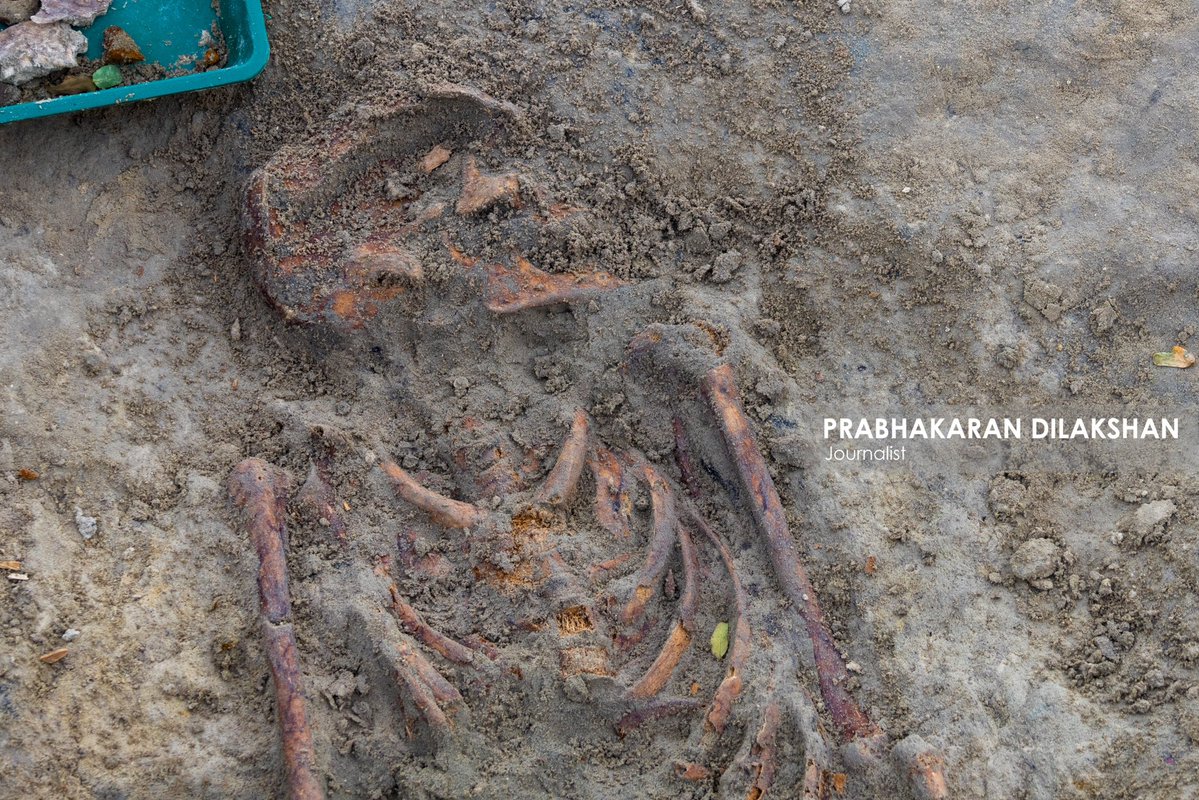 Prabhakaranlk's tweet image. During today’s excavation of the Chemmani mass grave in Jaffna, eight new skeletal remains were identified, including remains suspected to belong to infants and children.
With this, the total number of skeletal remains identified at the Chemmani mass grave has increased to 80