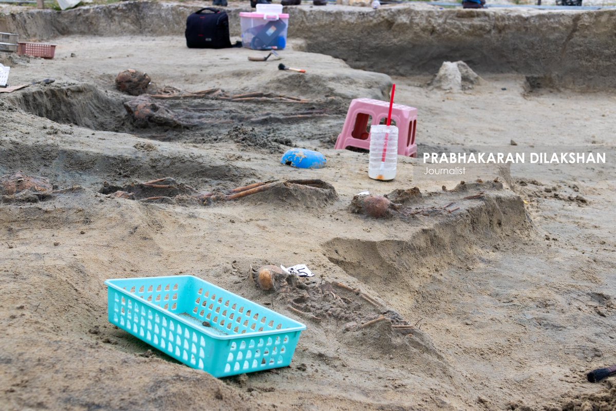 Prabhakaranlk's tweet image. During today’s excavation of the Chemmani mass grave in Jaffna, eight new skeletal remains were identified, including remains suspected to belong to infants and children.
With this, the total number of skeletal remains identified at the Chemmani mass grave has increased to 80