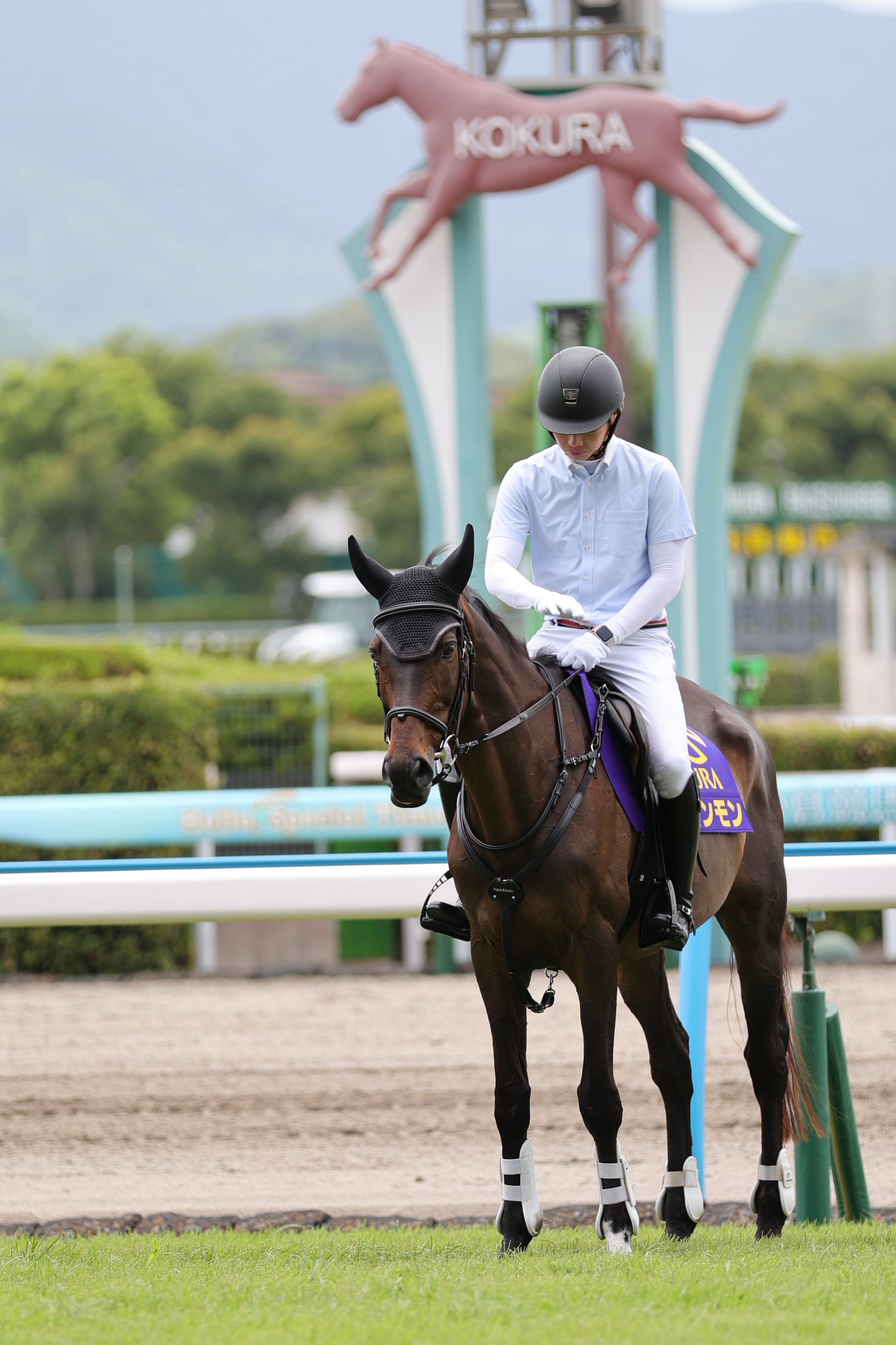 競馬 エイトワン (Eight Wan) | 競走馬データ - netkeiba