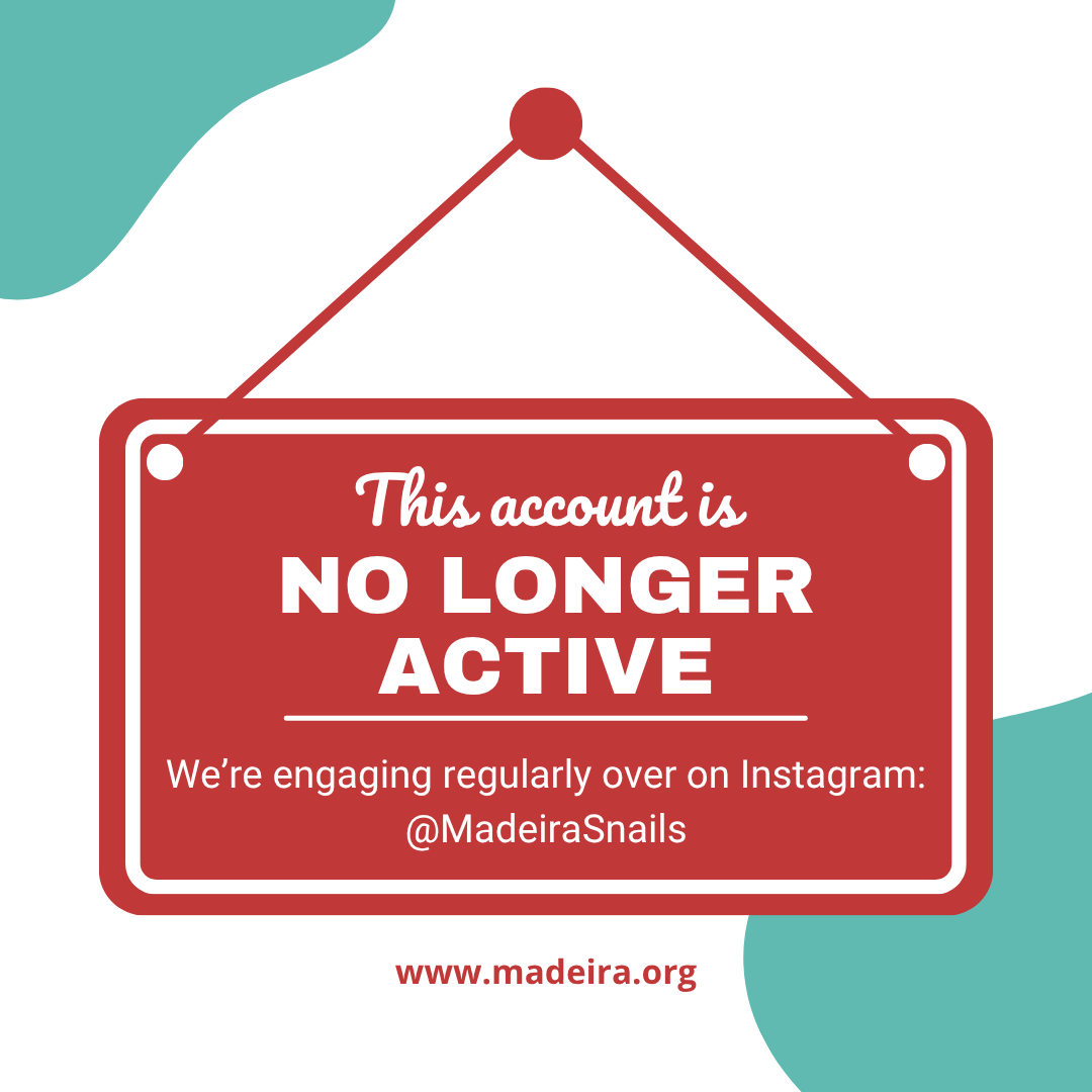 Madeira Athletics tweet media