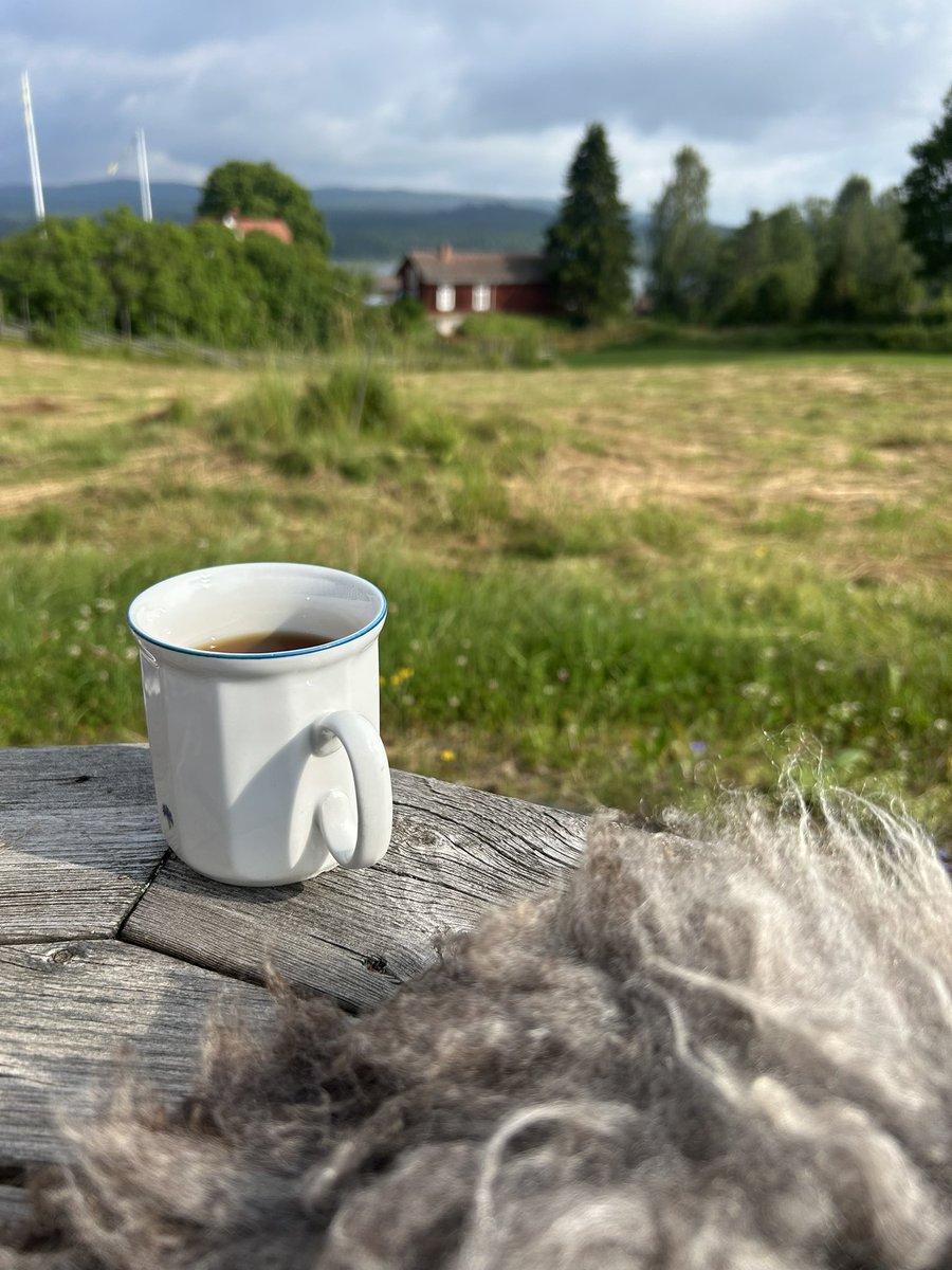 I’m Back from a 10 day holiday in Sweden with <a href="/MathWufky/">Math Wufky</a> kindly hosted by our friends Alvin and Navoc … we must have been so lucky with the weather ☀️ it was crazy for Swedish summer. 

Honestly though, I feel so lucky to know so many lovely people because of this fandom 💜