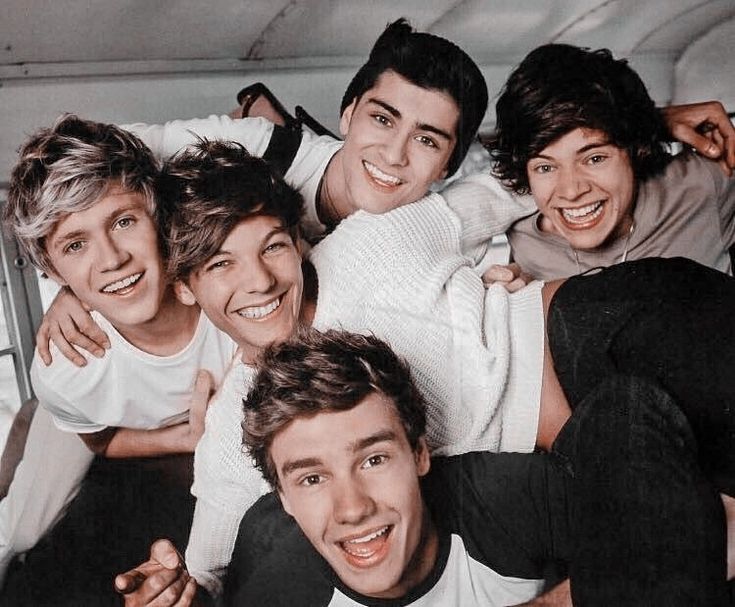 Directioner Forever¹ᴰ| rip Liam 🕊️ tweet media