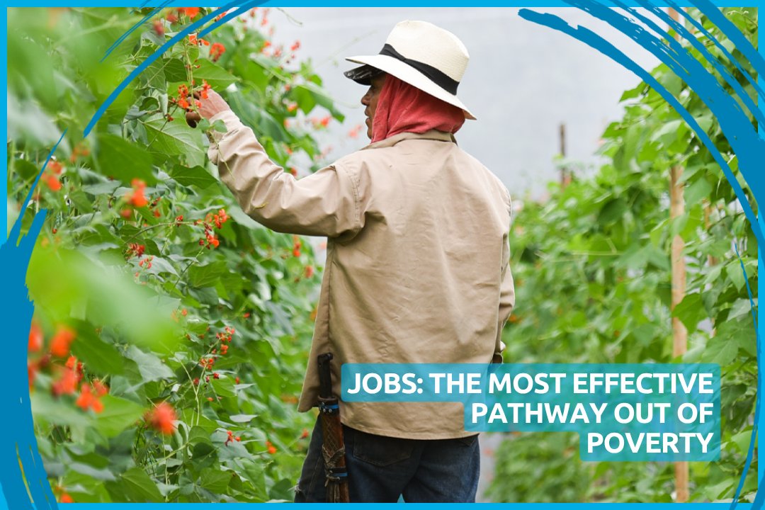 IFC_org's tweet image. Giving people the means to support themselves and their families can help lift communities out of poverty &amp;amp; foster economic stability.

See how IFC is evolving our approach by mobilizing private capital at scale to drive #jobcreation where it matters most: wrld.bg/Gr2n50WthY2