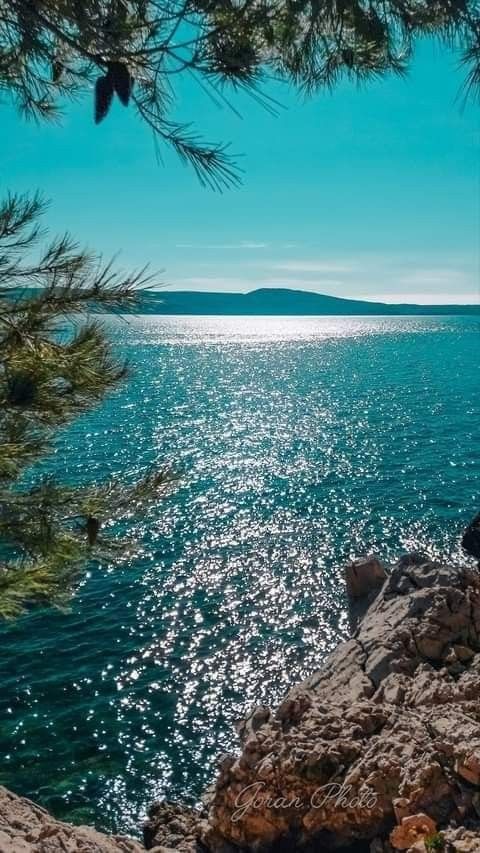 ocean (@hawsett4) on Twitter photo 