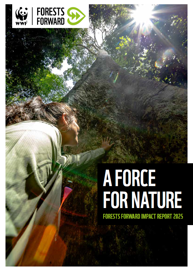 International Paper tweet media