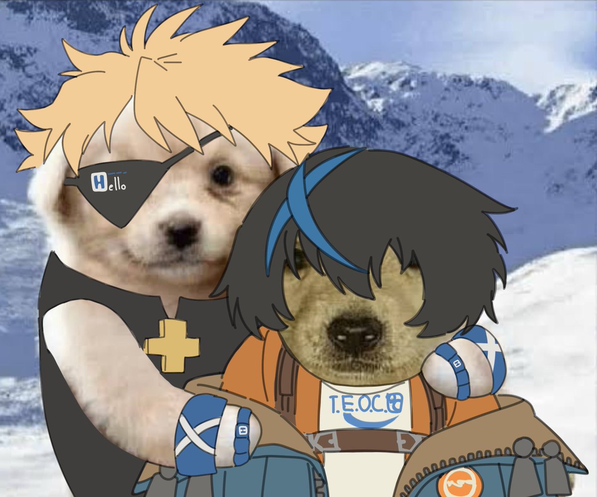 tazu 🦭 tweet media