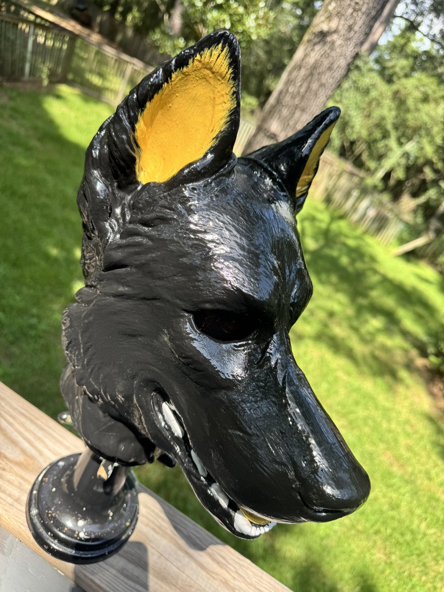 This happy pup is heading home! 💥🦴