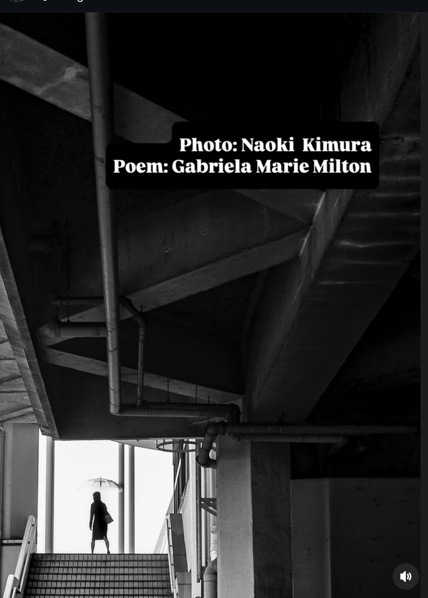 Gabriela Marie Milton (@shortprose1) on Twitter photo #vss365
Hello my dearest friends. Time for me to take a short break. I #promise I will return. Until then a photo by Naoki Kimura <a href="/cogito_ergo0sum/">NAOKI KIMURA 木 村 尚 樹</a> and a #poem by me.
She perched at the corner of the old archway, her floral dress blooming against the steel, her eyes the green #vss365
Hello my dearest friends. Time for me to take a short break. I #promise I will return. Until then a photo by Naoki Kimura <a href="/cogito_ergo0sum/">NAOKI KIMURA 木 村 尚 樹</a> and a #poem by me.
She perched at the corner of the old archway, her floral dress blooming against the steel, her eyes the green
