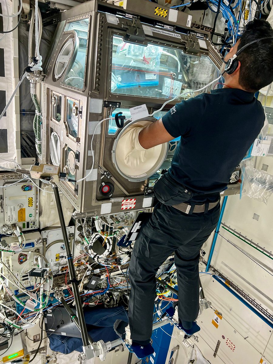 imsktripathi's tweet image. Indian astronaut @gagan_shux hanging onto the Space Station wall to do science