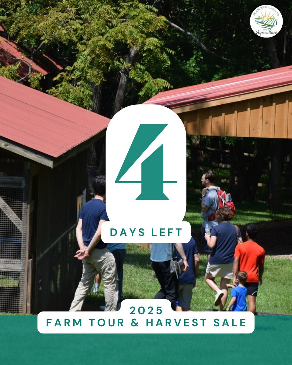 MoCoOAG's tweet image. Explore a farm!Only 4 days left until the 2025 Montgomery County Farm Tour & Harvest Sale! Explore working farms, meet local farmers, and see where your food comes from—all for free!
July 26–27
#FarmTour2025 #MoCoMade #FarmLife