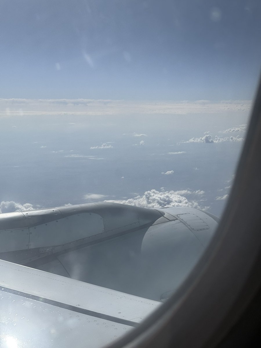 HenricoM tweet media