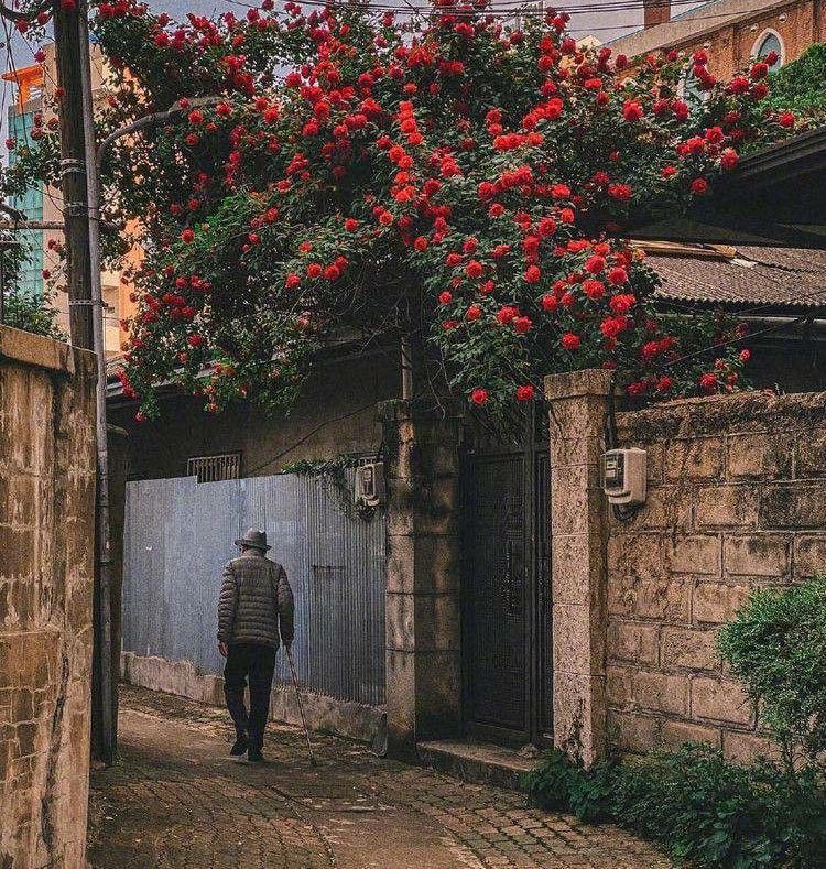 رَوائِعُ القَصِيدْ tweet media