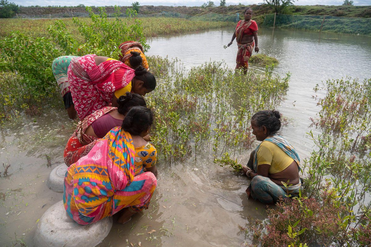 CarbonBrief's tweet image. Can ‘nature-based solutions’ help address climate change? | @aruna_sekhar @gaviglione w/ @nathalieseddon @1teresaanderson @forrestfleisch1 @timinclimate @pollyjhemming @doreenstabinsky @gillesdufrasne #CBarchive
Read here: bit.ly/3NvmCFk
