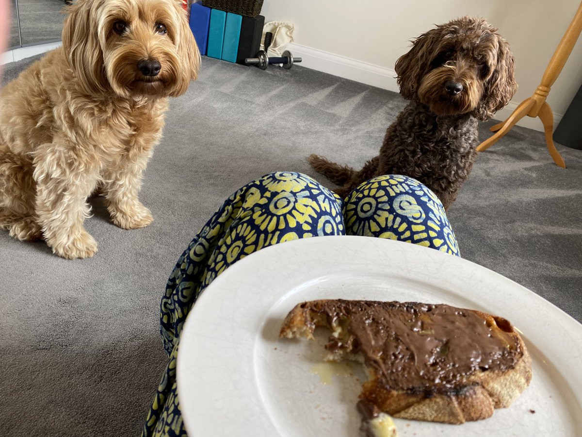 PCSO Debbie Hollinson (@pcso30747) on Twitter photo Being poorly on rest days is the worst thing, but on the plus side, I do have these two looking after me and making sure that no one takes my Nutella on toast! 😂
<a href="/TavistockPolice/">Tavistock Police</a> <a href="/ps_7003/">PS 7003 Ottley</a> <a href="/NWDevonPolice/">North and West Devon Police</a> <a href="/DC_Police/">Devon & Cornwall Police</a> Being poorly on rest days is the worst thing, but on the plus side, I do have these two looking after me and making sure that no one takes my Nutella on toast! 😂
<a href="/TavistockPolice/">Tavistock Police</a> <a href="/ps_7003/">PS 7003 Ottley</a> <a href="/NWDevonPolice/">North and West Devon Police</a> <a href="/DC_Police/">Devon & Cornwall Police</a>