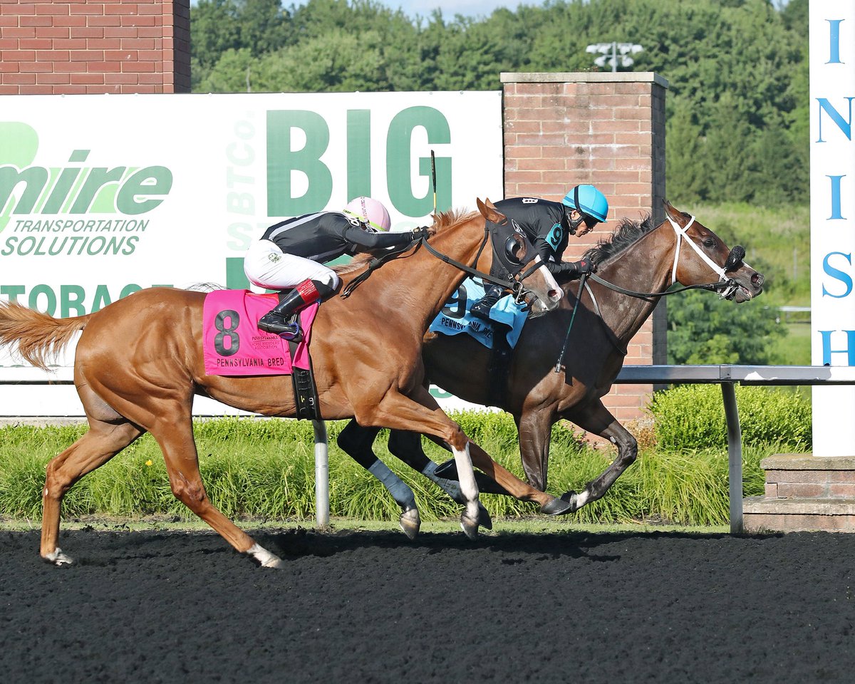PA_PHBA's tweet image. Sweet revenge! Last year’s Hard Spun Stakes for #PABred runners saw He’s a Mess fall a head short to Twilight Dancer. This year, He’s a Mess surged past that rival in the final strides for a neck victory. John Dutton was third. It was the first stakes victory for the 7yo gelding…