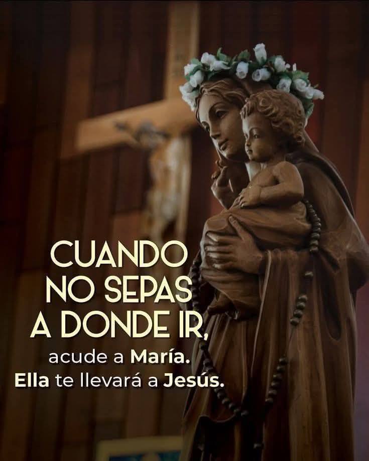 Pildorasdefe's tweet photo. 🙏 Oh, Virgen María,
en tus manos maternales
te confiamos la salud de
todos los enfermos,
en especial a los niños,
también a los que están tristes,
deprimidos, con miedos
o llenos de ansiedad.

Amén 🙌 https://t.co/BOlSQ5qLd2