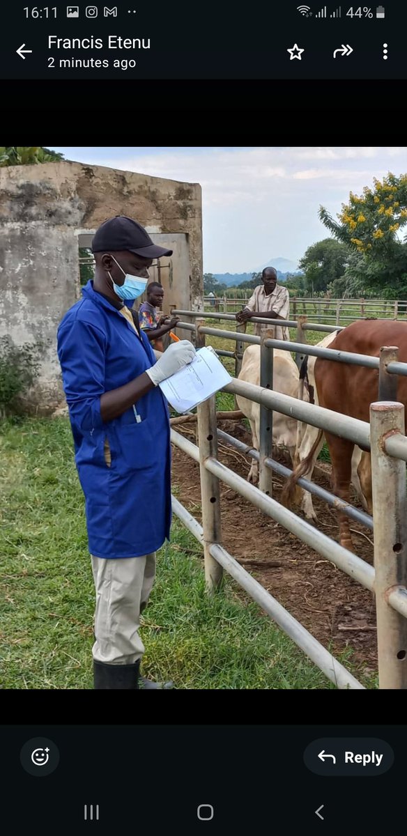 NATIONAL ANIMAL GENETIC RESOURCES CENTRE &DATABANK (@nagrc_db) on Twitter photo This week, <a href="/NAGRC_DB/">NATIONAL ANIMAL GENETIC RESOURCES CENTRE &DATABANK</a> successfully concluded a major liquid nitrogen distribution drive under our Community-Based Breeding Program (CBBP).
The exercise targeted Amolatar, Kalaki, Kibuku, and Bukedea districts, delivering vital liquid nitrogen—a key preservative for genetic This week, <a href="/NAGRC_DB/">NATIONAL ANIMAL GENETIC RESOURCES CENTRE &DATABANK</a> successfully concluded a major liquid nitrogen distribution drive under our Community-Based Breeding Program (CBBP).
The exercise targeted Amolatar, Kalaki, Kibuku, and Bukedea districts, delivering vital liquid nitrogen—a key preservative for genetic