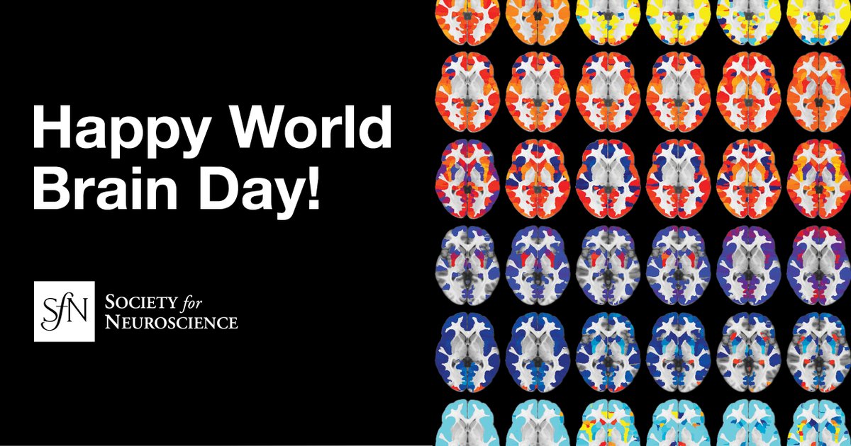 SfNtweets's tweet image. It's #WorldBrainDay!
The brain controls everything that makes life possible.
Scientific research provides the tools and knowledge needed to protect, restore, and enhance brain health for all.
Are you a #neurowiz?
Take this short quiz to find out: vist.ly/3yr5z