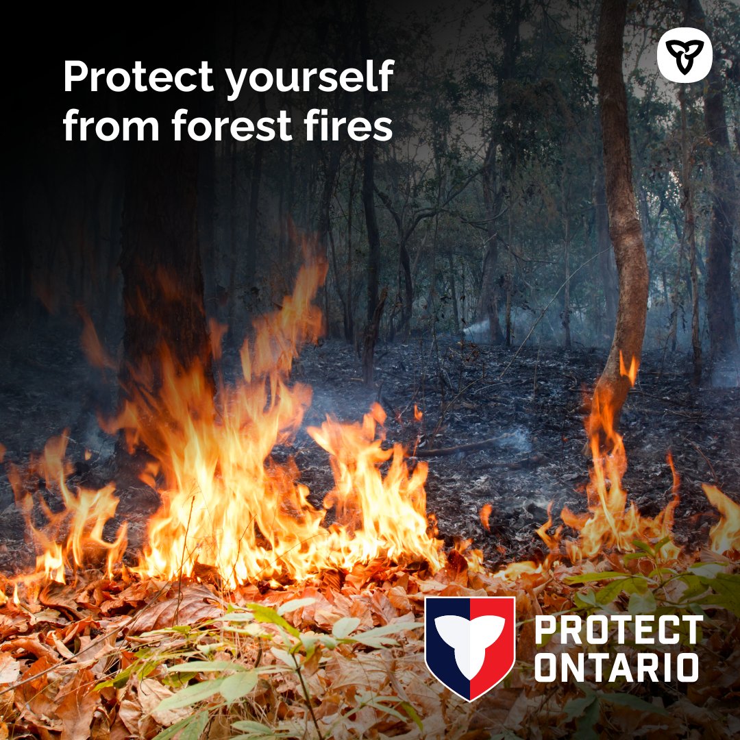 Ministry of the Solicitor General (@onsafety) on Twitter photo Hotter summer weather means a higher risk of forest fires.
If you live near wooded areas, learn how to stay safe, prepare your home, and stay informed about local forest fire conditions.
Learn more: ontario.ca/page/forest-fi…
<a href="/ONforestfires/">Ontario Forest Fires</a> Hotter summer weather means a higher risk of forest fires.
If you live near wooded areas, learn how to stay safe, prepare your home, and stay informed about local forest fire conditions.
Learn more: ontario.ca/page/forest-fi…
<a href="/ONforestfires/">Ontario Forest Fires</a>