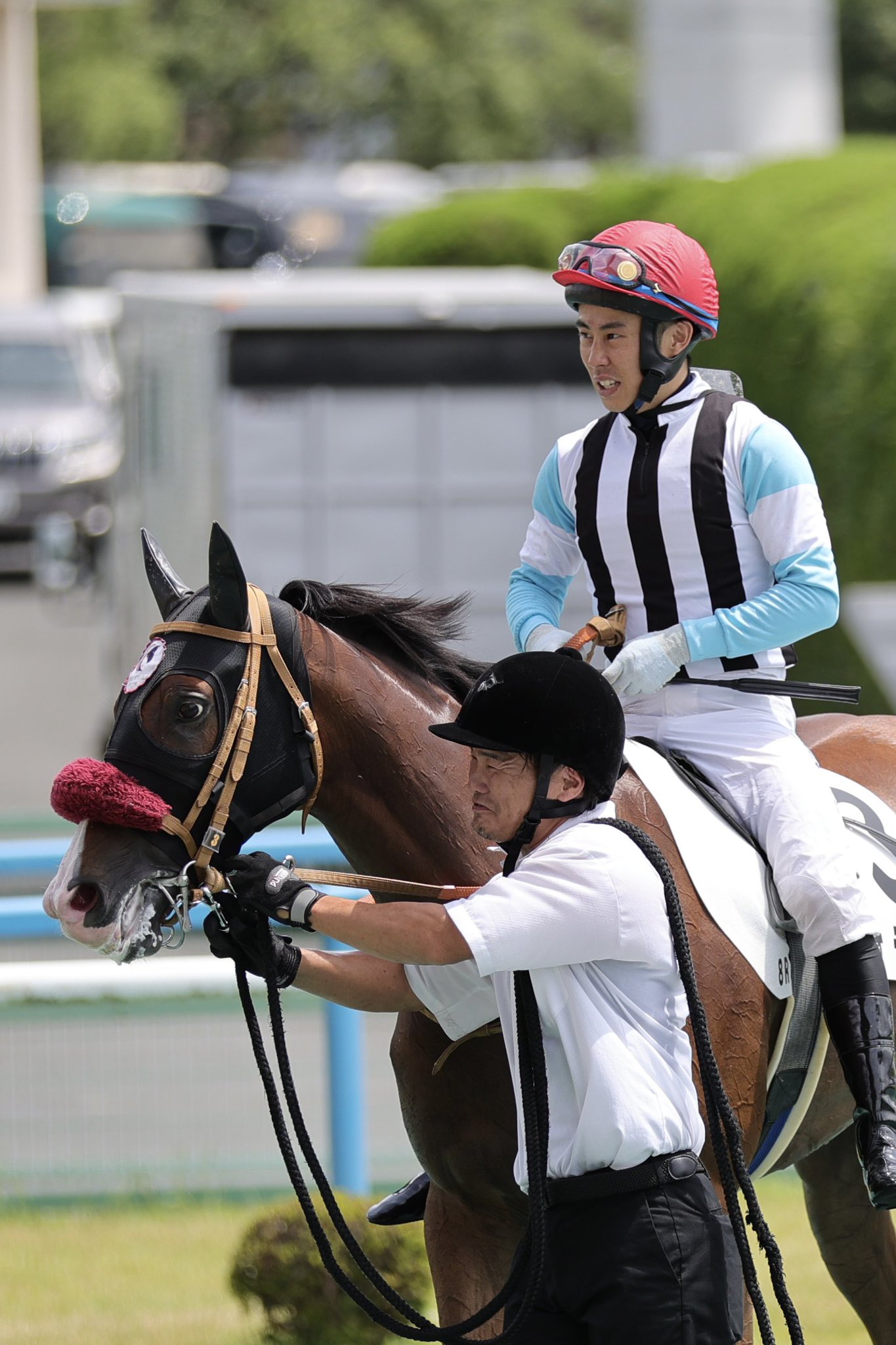 馬と少女 2歳新馬・小倉6R】ジュジュドールが影踏ませぬ逃走V - サンスポZBAT!