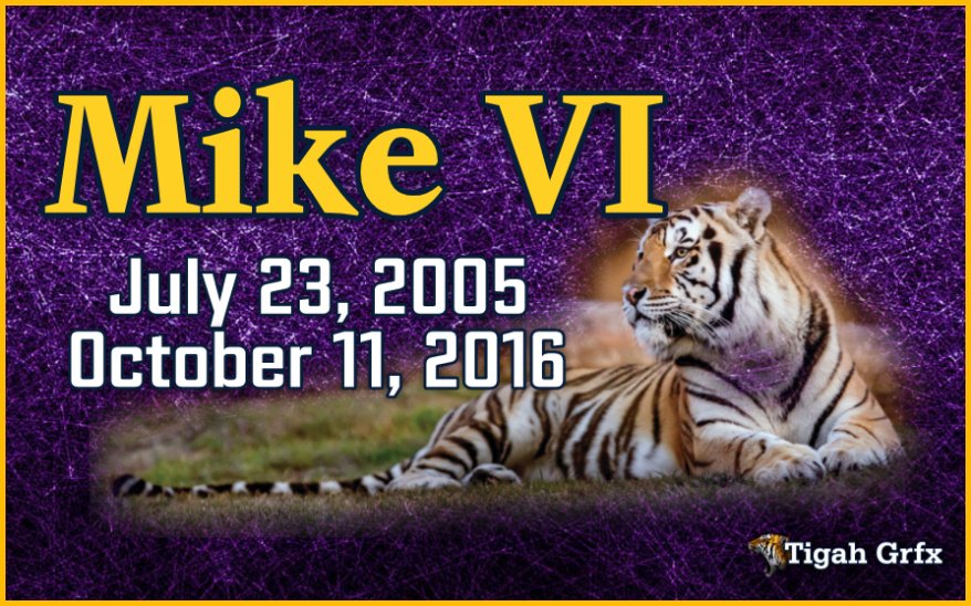 patriot_hammer's tweet image. π Happy Heavenly Birthday! π
Mike VI
July 23, 2005 - October 11, 2016
πππππ ππππππ
ππ π
ππ