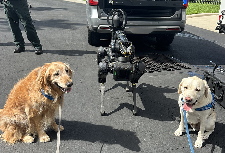 Lorne &amp; Barley returned as honorary agents for the 2nd year at the Tampa FBI Office's Family Day. They toured the office, spent time with agents &amp; their families, checked out the police bikes &amp; military trucks, making lots of new friends Including a mechanical dog named Spot!
